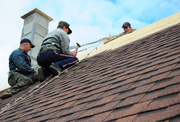 Best Best Roofing Contractors  in Danville, IN